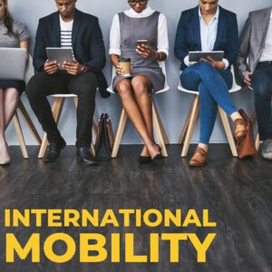 International Mobility Consulting